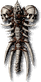 Bone Shield
