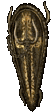 Isenhart's Parry