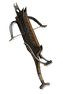 Doomslinger