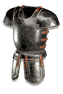 Arcanna's Flesh
